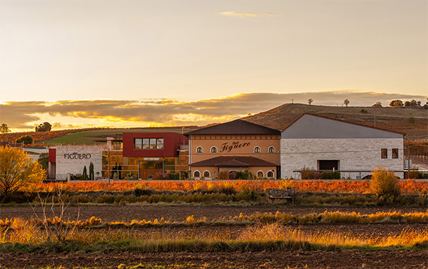 Bodega García Figuero