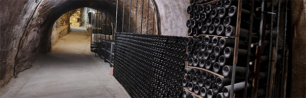 Bodega Cillar de Silos