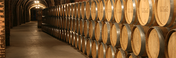 Bodega Ismael Arroyo - Valsotillo